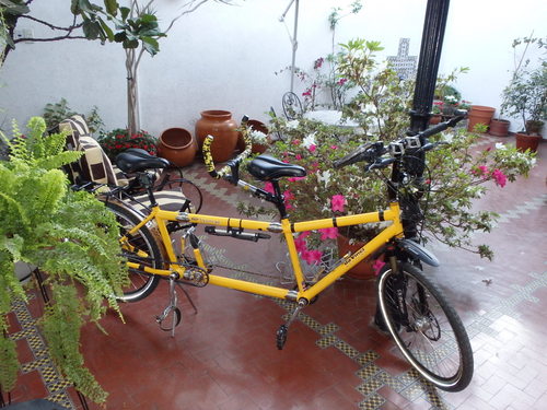 We Unpacked and Assembled the Tandem Bicycle jn our Hotel's Courtyard.